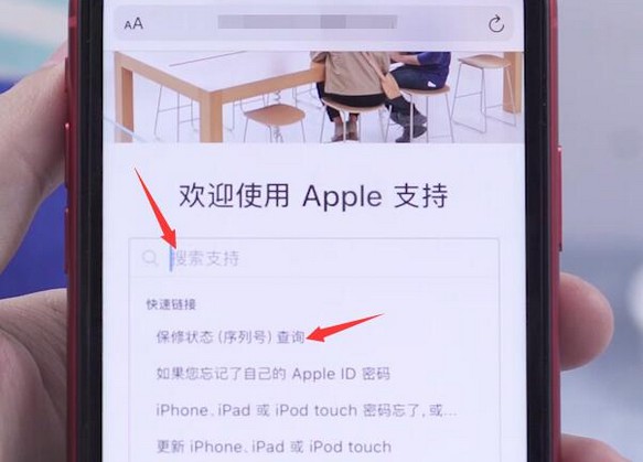 9-搜索并點(diǎn)擊“保修狀態(tài)（序列號(hào)）查詢”