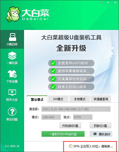 4-寫(xiě)入大白菜相關(guān)數(shù)據(jù)